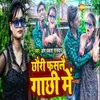 About Chhauri Fasalai Gachhi Me Song